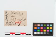 Etiketten zu Bronzespiraldrahtarmring (NHMW-PRAE-024999)